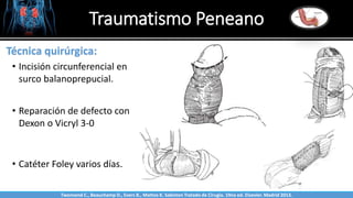 Traumatismo Peneano
Sabinston
Técnica quirúrgica:
• Incisión circunferencial en
surco balanoprepucial.
• Reparación de defecto con
Dexon o Vicryl 3-0
• Catéter Foley varios días.
Twonsend C., Beauchamp D., Evers B., Mattox K. Sabiston Tratado de Cirugía. 19na ed. Elsevier. Madrid 2013.
 