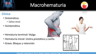 Macrohematuria
Sabinston
Clínica
• Sintomática:
• Cólico renal.
• Asintomática
• Hematuria terminal: Vejiga
• Hematuria inicial: Uretra prostática y cuello.
• Grave: Bloque y retención
Twonsend C., Beauchamp D., Evers B., Mattox K. Sabiston Tratado de Cirugía. 19na ed. Elsevier. Madrid 2013.
 