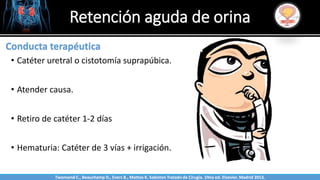 Sabinston
Conducta terapéutica
• Catéter uretral o cistotomía suprapúbica.
• Atender causa.
• Retiro de catéter 1-2 días
• Hematuria: Catéter de 3 vías + irrigación.
Retención aguda de orina
Twonsend C., Beauchamp D., Evers B., Mattox K. Sabiston Tratado de Cirugía. 19na ed. Elsevier. Madrid 2013.
 