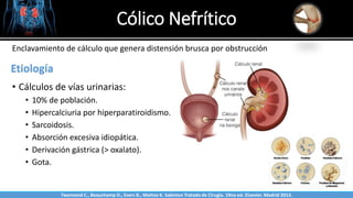 Cólico Nefrítico
Sabinston
Etiología
• Cálculos de vías urinarias:
• 10% de población.
• Hipercalciuria por hiperparatiroidismo.
• Sarcoidosis.
• Absorción excesiva idiopática.
• Derivación gástrica (> oxalato).
• Gota.
Enclavamiento de cálculo que genera distensión brusca por obstrucción
Twonsend C., Beauchamp D., Evers B., Mattox K. Sabiston Tratado de Cirugía. 19na ed. Elsevier. Madrid 2013.
 