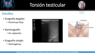 Torsión testicular
Sabinston
Estudios
• Ecografía doppler.
• Disminuye flujo.
• Gammagrafía
• Sin captación.
• Ecografía simple.
• Heterogéneo.
Twonsend C., Beauchamp D., Evers B., Mattox K. Sabiston Tratado de Cirugía. 19na ed. Elsevier. Madrid 2013.
 