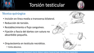 Torsión testicular
Sabinston
Técnica quirúrgica
• Incisión en línea media o transversa bilateral.
• Reducción de torsión.
• Restablecimiento e flujo sanguíneo.
• Fijación a fascia del dartos con sutura no
absorbible pequeña.
• Orquiectomía en testículo necrótico.
• Evita absceso.
Twonsend C., Beauchamp D., Evers B., Mattox K. Sabiston Tratado de Cirugía. 19na ed. Elsevier. Madrid 2013.
 