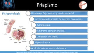Priapismo
Sabinston
Fisiopatología Disminuye flujo venoso y persiste arterial.
Incremento de presión de cuerpos cavernosos.
Tumefacción.
Síndrome compartimental.
Limitación del shunt.
Hipoxia hística.
Acidosis, edema y necrosis franca.
Twonsend C., Beauchamp D., Evers B., Mattox K. Sabiston Tratado de Cirugía. 19na ed. Elsevier. Madrid 2013.
 