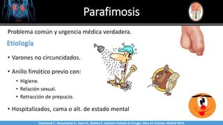 Parafimosis
Sabinston
Etiología
• Varones no circuncidados.
• Anillo fimótico previo con:
• Higiene.
• Relación sexual.
• Retracción de prepucio.
• Hospitalizados, cama o alt. de estado mental
Problema común y urgencia médica verdadera.
Twonsend C., Beauchamp D., Evers B., Mattox K. Sabiston Tratado de Cirugía. 19na ed. Elsevier. Madrid 2013.
 