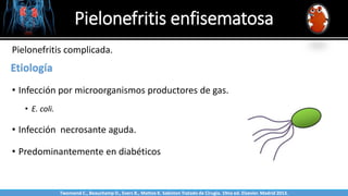Pielonefritis enfisematosa
Sabinston
Etiología
• Infección por microorganismos productores de gas.
• E. coli.
• Infección necrosante aguda.
• Predominantemente en diabéticos
Pielonefritis complicada.
Twonsend C., Beauchamp D., Evers B., Mattox K. Sabiston Tratado de Cirugía. 19na ed. Elsevier. Madrid 2013.
 