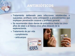 ANTIBIÓTICOS
 Tratamiento deliberado para infecciones establecidas o
supuestas; profilaxis como anticipación a procedimientos que
impliquen penetración corporal y profilaxis general.
 Se recomiendan dosis diarias de antibióticos hasta los cinco
años de edad o al menos cinco años después de la
esplenectomía.
 Tratamiento de por vida
- cumplimiento
- anticuerpos
 