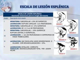 ESCALA DE LESIÓN ESPLÉNICA
ESCALA DE LESIÓN ESPLÉNICA
Asociación Americana para la cirugía del trauma
Grado Descripción de la lesión
I
II
III
IV
V
HEMATOMA: SUBCAPSULAR <10% DE SUPERFICIE.
LACERACION: RUPTURA CAPSULAR <1cm PROFUNDIDAD.
HEMATOMA: SUBCAPSULAR 10 -15% SUPERFICIE
LACERACION: DE 1 A 3 cm DE PROFUNDIDAD.
HEMATOMA: SUBCAPSULAR, > 50% SUPERFICIE
RUPTURA CENTRAL O SUPERFICIAL.
LACERACION : > 3cm EN PROFUNDIDAD O COMPROMISO DE
VASOS TRABECULARES.
LACERACION: QUE INVOLUCRA VASOS SEGMENTARIOS O
HILIARES CON DESVASCULARIZACION > 25%.
LACERACION: ESTALLIDO COMPLETO
VASCULAR: DESVASCULARIZACION TOTAL POR LESION
HILIAR
 