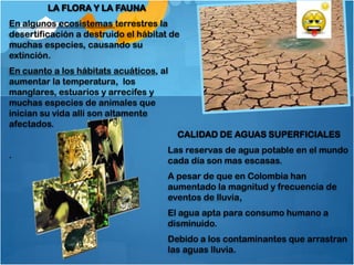 LA FLORA Y LA FAUNA
En algunos ecosistemas terrestres la
desertificación a destruido el hábitat de
muchas especies, causando su
extinción.
En cuanto a los hábitats acuáticos, al
aumentar la temperatura, los
manglares, estuarios y arrecifes y
muchas especies de animales que
inician su vida allí son altamente
afectados.
                                         CALIDAD DE AGUAS SUPERFICIALES
                                      Las reservas de agua potable en el mundo
.
                                      cada día son mas escasas.
                                      A pesar de que en Colombia han
                                      aumentado la magnitud y frecuencia de
                                      eventos de lluvia,
                                      El agua apta para consumo humano a
                                      disminuido.
                                      Debido a los contaminantes que arrastran
                                      las aguas lluvia.
 