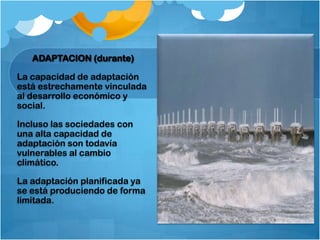 ADAPTACION (durante)

La capacidad de adaptación
está estrechamente vinculada
al desarrollo económico y
social.

Incluso las sociedades con
una alta capacidad de
adaptación son todavía
vulnerables al cambio
climático.

La adaptación planificada ya
se está produciendo de forma
limitada.
 
