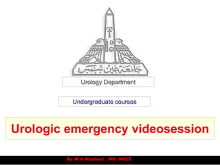 Urology Department


         Undergraduate courses



Urologic emergency videosession
 