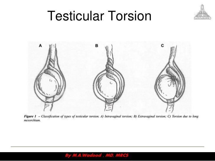 Emergencies videosession