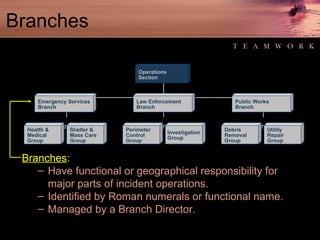 Branches Branches :   Have functional or geographical responsibility for major parts of incident operations.  Identified by Roman numerals or functional name.  Managed by a Branch Director. Emergency Services Branch Law Enforcement Branch Public Works Branch Perimeter Control Group Investigation Group Debris Removal Group Utility Repair Group Health & Medical Group Shelter & Mass Care Group Operations Section 