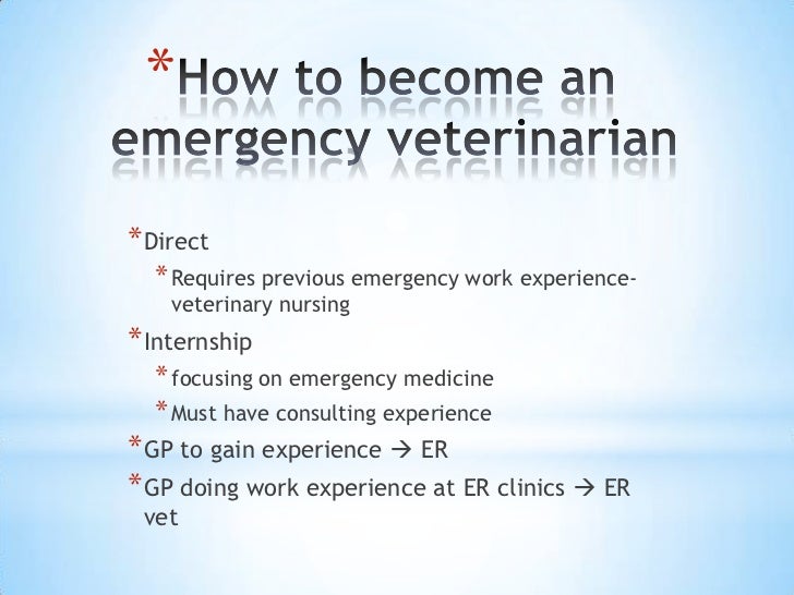 Emergency and critical care veterinarian