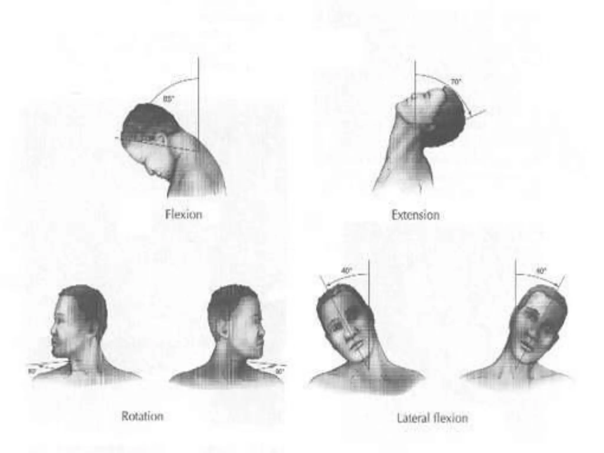 Emergency care of cervical spine injuries | PPTX