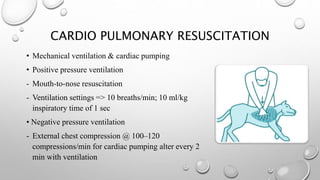 CARDIO PULMONARY RESUSCITATION
• Mechanical ventilation & cardiac pumping
• Positive pressure ventilation
- Mouth-to-nose resuscitation
- Ventilation settings => 10 breaths/min; 10 ml/kg
inspiratory time of 1 sec
• Negative pressure ventilation
- External chest compression @ 100–120
compressions/min for cardiac pumping alter every 2
min with ventilation
 