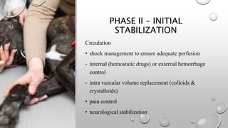 PHASE II – INITIAL
STABILIZATION
Circulation
• shock management to ensure adequate perfusion
- internal (hemostatic drugs) or external hemorrhage
control
- intra vascular volume replacement (colloids &
crystalloids)
• pain control
• neurological stabilization
 