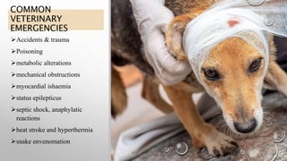 Accidents & trauma
Poisoning
metabolic alterations
mechanical obstructions
myocardial ishaemia
status epilepticus
septic shock, anaphylatic
reactions
heat stroke and hyperthermia
snake envenomation
COMMON
VETERINARY
EMERGENCIES
 