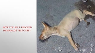 HOW YOU WILL PROCEED
TO MANAGE THIS CASE?
 