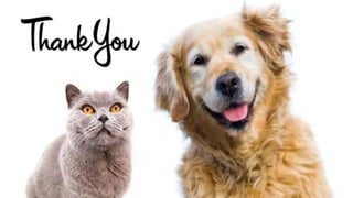 Veterinary Emergency Medicine 