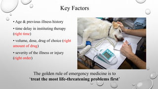 Key Factors
• Age & previous illness history
• time delay in instituting therapy
(right time)
• volume, dose, drug of choice (right
amount of drug)
• severity of the illness or injury
(right order)
The golden rule of emergency medicine is to
‘treat the most life-threatening problems first’
 