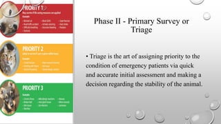 Phase II - Primary Survey or
Triage
• Triage is the art of assigning priority to the
condition of emergency patients via quick
and accurate initial assessment and making a
decision regarding the stability of the animal.
 