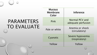 PARAMETERS
TO EVALUATE
Mucous
Membrane
Color
Inference
Pink
Normal PCV and
adequate perfusion
Pale or white
Anemia or shock
(circulatory)
Cyanotic
Severe hypoxemia
(respiratory)
Yellow Yellow
 