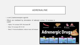 ADRENALINE
• α and β adrenoreceptor agonist
• Effects are mediated by stimulation of adenylyl cyclase  increase in
CAMP
 Alpha 1 increase SVR increase BP
 Beta 1 increase HR  CO
 Beta 2  bronchodilation, reduce mast cell release
 