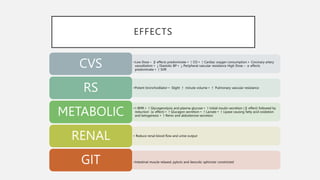 EFFECTS
•Low Dose – β effects predominate • ↑ CO • ↑ Cardiac oxygen consumption • Coronary artery
vasodilation • ↓ Diastolic BP • ↓ Peripheral vascular resistance High Dose – α effects
predominate • ↑ SVR
CVS
•Potent bronchodilator • Slight ↑ minute volume • ↑ Pulmonary vascular resistance
RS
•↑ BMR • ↑ Glycogenolysis and plasma glucose • ↑ Initial insulin secretion ( β effect) followed by
reduction (α effect) • ↑ Glucagon secretion • ↑ Lactate • ↑ Lipase causing fatty acid oxidation
and ketogenesis • ↑ Renin and aldosterone secretion
METABOLIC
• Reduce renal blood flow and urine output
RENAL
•Intestinal muscle relaxed, pyloric and ileocolic sphincter constricted
GIT
 