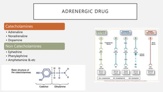 ADRENERGIC DRUG
Catecholamines
• Adrenaline
• Noradrenaline
• Dopamine
Non Catecholamines
• Ephedrine
• Phenylephrine
• Amphetamine & etc
 