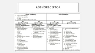 ADENORECEPTOR
 