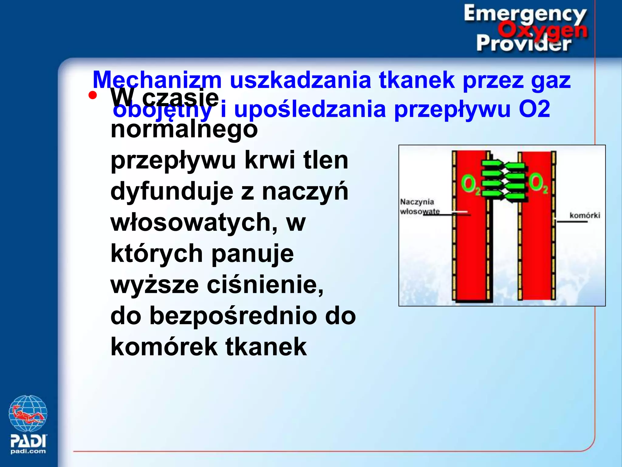 Emergency oxygen provider
