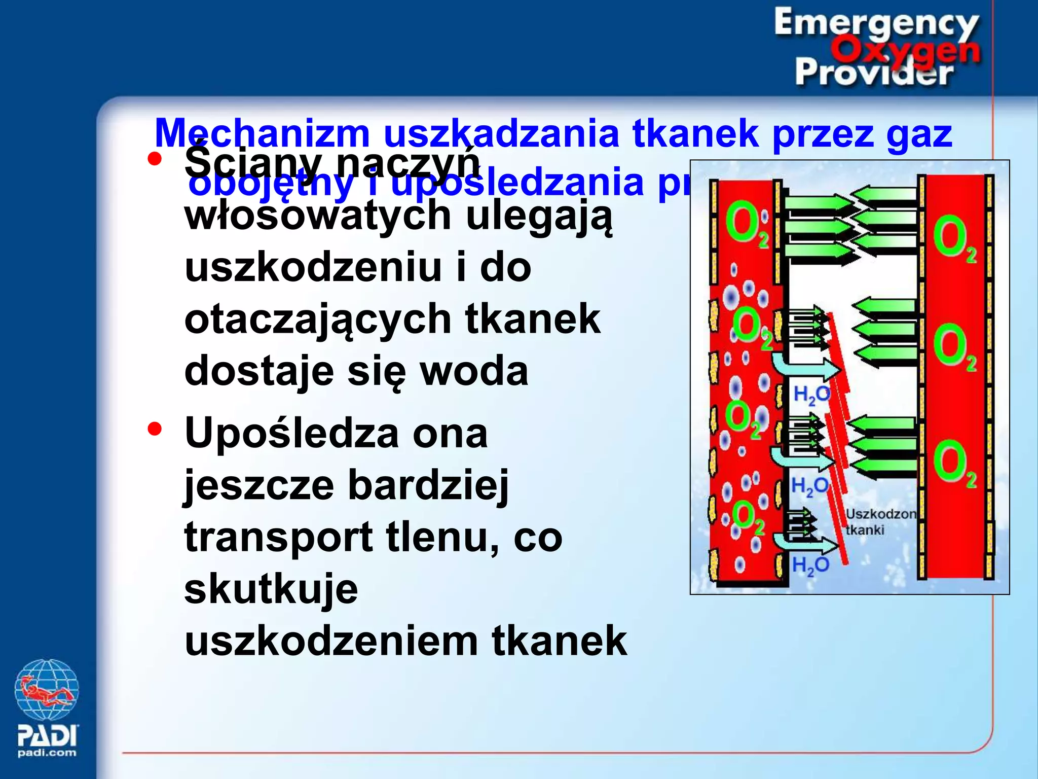 Emergency oxygen provider