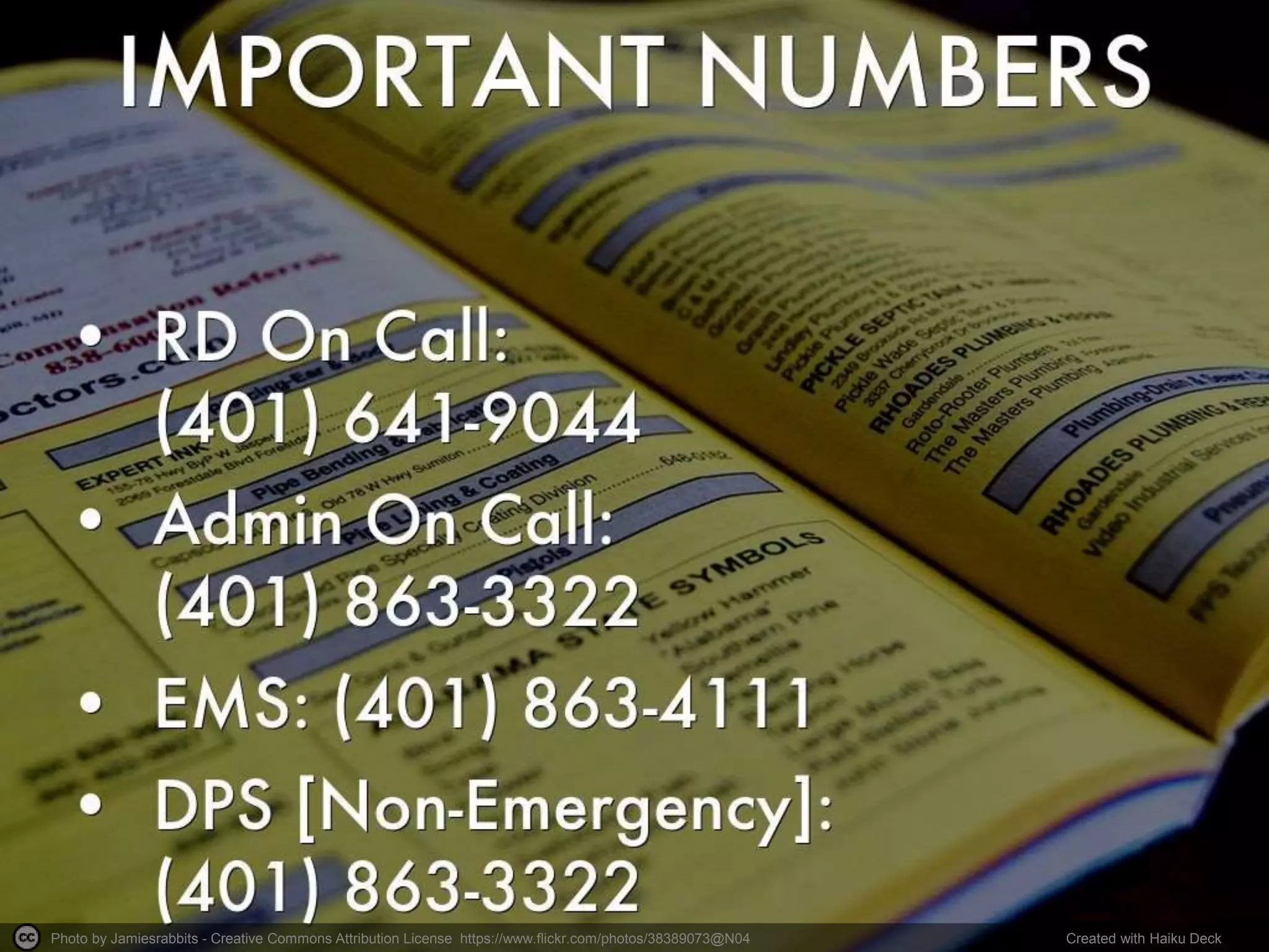 Photo by Jamiesrabbits - Creative Commons Attribution License https://www.flickr.com/photos/38389073@N04 Created with Haiku Deck
 