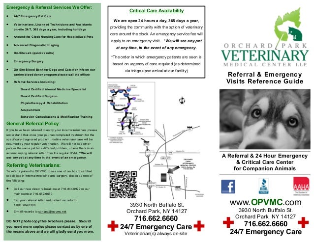 dog 24 hour vet