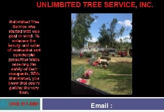 (443) 517-6881 Email :
 