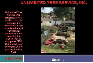 (443) 517-6881 Email :
 