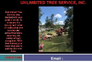 (443) 517-6881 Email :
 