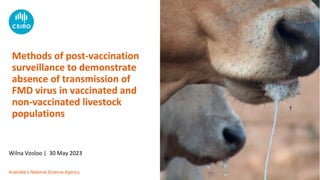 Australia’s National Science Agency
Methods of post-vaccination
surveillance to demonstrate
absence of transmission of
FMD virus in vaccinated and
non-vaccinated livestock
populations
Wilna Vosloo | 30 May 2023
 