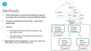 Methods
• FMD outbreaks in Australia simulated using the
Australian Animal Disease Spread (AADIS) model
• Victorian outbreak scenario (V2) – dairy farm,
September
• Control
o Stamping out with and without emergency ring
vaccination (5 km)
o Two approaches to managing vaccinated animals
(remove or retain)
• Approaches were compared - resources required,
time taken, cost, and effectiveness
Stamping
out without
vaccination
Stamping
out with
vaccination
Remove
vaccinated
animals
Retain
vaccinated
animals
3 months
3 months 6 months
 