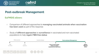 24
Post-outbreak Management
EuFMDiS allows:
○ Comparison of different approaches to managing vaccinated animals when vaccination
has been used as part of the response
○ Study of different approaches to surveillance in vaccinated and non-vaccinated
populations to help regain FMD-free status
FMD
incursion
First
detection
End of control phase;
Lifting of control
measures and restrictions
Official
FMD-free
status
Post-outbreak Management
Control phase
Silent phase
Post-outbreak Management in EuFMDiS
Webinar, 15 November 2022
Emergency Vaccination Workshop
30 May 2023 (online)
 