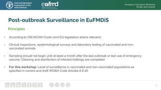 25
Post-outbreak Surveillance in EuFMDiS
• According to OIE/WOAH Code (and EU legislation where relevant)
• Clinical inspections, epidemiological surveys and laboratory testing of vaccinated and non-
vaccinated animals
• Sampling should not begin until at least a month after the last outbreak or last use of emergency
vaccine; Cleaning and disinfection of infected holdings are completed
• For this workshop: Level of surveillance in vaccinated and non-vaccinated populations as
specified in current and draft WOAH Code Articles 8.8.40
Principles
Emergency Vaccination Workshop
30 May 2023 (online)
 