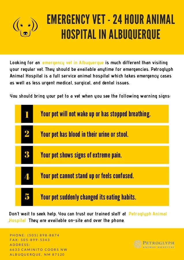 24 hour emergency pet clinic