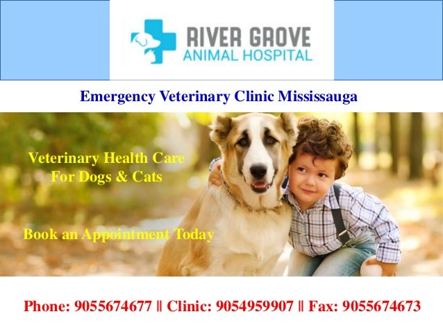 download emergency animal hospital download emergency animal hospital