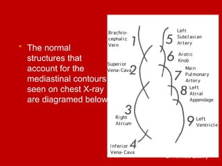Comprehensive Guide to Chest and Abdominal X-Ray Interpretation in ...