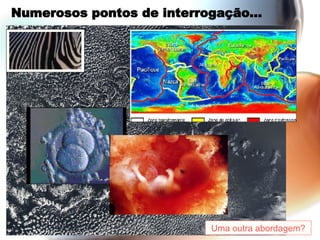 Numerosos pontos de interrogação… Uma outra abordagem? 