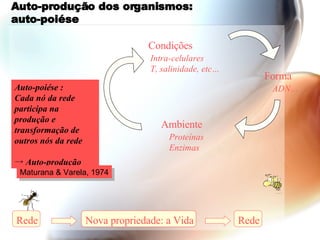 Auto-produção dos organismos:  auto-poiése Condições Intra-celulares T, salinidade, etc…  Forma ADN…  Ambiente Proteínas Enzimas Rede Nova propriedade: a Vida Auto-poiése : Cada nó da rede participa na produção e transformação de outros nós da rede ->  Auto-produção Maturana & Varela, 1974 Rede 