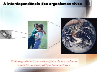A interdependência dos organismos vivos Cada organismo é um sub-conjunto do seu ambiente e mantém o seu equilibrio homeoestático 