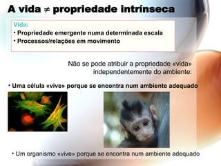 A vida    propriedade intrínseca Vida: Propriedade emergente numa determinada escala Processos/relações em movimento Uma célula «vive» porque se encontra num ambiente adequado Não se pode atribuir a propriedade «vida» independentemente do ambiente: Um organismo «vive» porque se encontra num ambiente adequado 