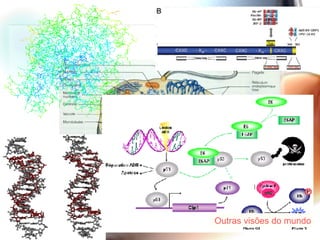 Autres visions du monde Outras  visões  do  mundo 
