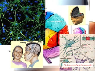Autres visions du monde Outras  visões  do  mundo 